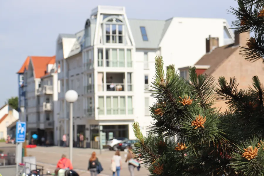 Kantoor Immo de Nijs Cadzand Zeeland verhuurkantoor